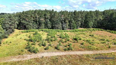 Okolica jeziora Dołgie i kompleksów leśnych - Dołgie   -
Zachodniopomorskie Zdjęcie nr 9