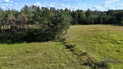 Okole - Grunt siedliskowy w otoczeniu lasu ok 100 - Okole   -
Zachodniopomorskie Zdjęcie nr 10
