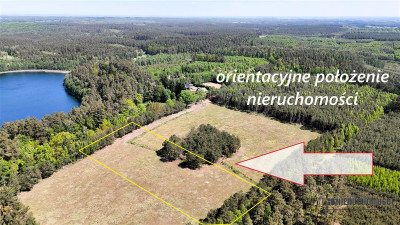 Okole - Grunt siedliskowy w otoczeniu lasu ok 100 - Okole   -
Zachodniopomorskie Zdjęcie nr 2