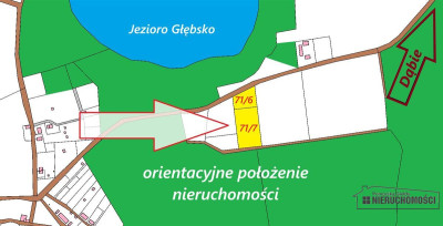 Okole - Grunt siedliskowy w otoczeniu lasu ok 100 - Okole   -
Zachodniopomorskie Zdjęcie nr 3