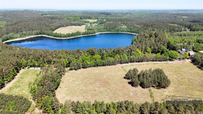 Okole - Grunt siedliskowy w otoczeniu lasu ok 100 - Okole   -
Zachodniopomorskie Zdjęcie nr 4