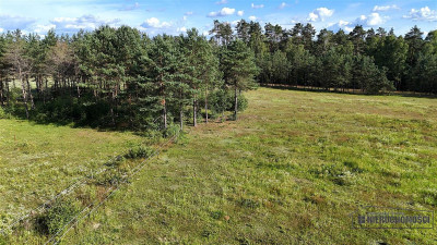 Okole - Grunt siedliskowy w otoczeniu lasu ok 100 - Okole   -
Zachodniopomorskie Zdjęcie nr 9