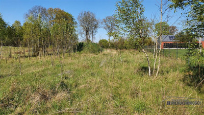 Rakowo - działka budowlana 15 km od Jeziora Komor - Rakowo   -
Zachodniopomorskie Zdjęcie nr 13