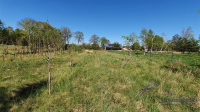 Rakowo - działka budowlana 15 km od Jeziora Komor - Rakowo   -
Zachodniopomorskie Zdjęcie nr 14