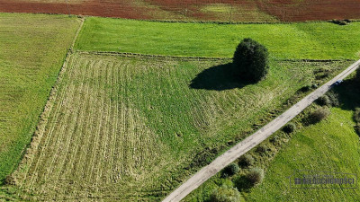 Grunty Knyki - na raty - Knyki  -
Zachodniopomorskie Zdjęcie nr 11