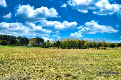 Działka budowlana blisko jeziora Dołgie - Dołgie  -
Zachodniopomorskie Zdjęcie nr 11