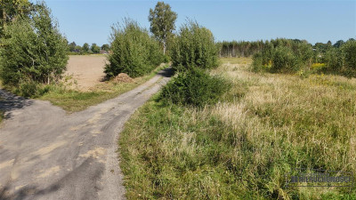 Bielikowo - działka na raty - około 20 minut od Ba - Bielikowo  -
Zachodniopomorskie Zdjęcie nr 13