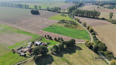 Bielikowo - działka budowlana około 20 minut od Ba - Bielikowo  -
Zachodniopomorskie Zdjęcie nr 11