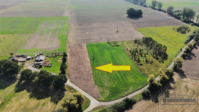 Bielikowo - działka budowlana około 20 minut od Ba - Bielikowo  -
Zachodniopomorskie Zdjęcie nr 12