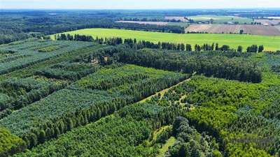 Ząbrowo - działka budowlana blisko Świdwina - na r - Ząbrowo  -
Zachodniopomorskie Zdjęcie nr 14