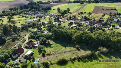 Ostrowąsy - działka budowlana - na raty - Ostrowąsy  -
Zachodniopomorskie Zdjęcie nr 11