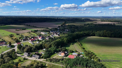 Ostrowąsy - działka budowlana - na raty - Ostrowąsy  -
Zachodniopomorskie Zdjęcie nr 5