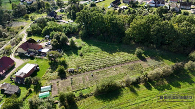 Ostrowąsy - działka budowlana - na raty - Ostrowąsy  -
Zachodniopomorskie Zdjęcie nr 8