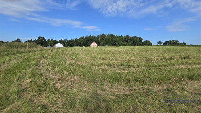 50 km od Morza Bałtyckiego Sadkowo tania działka - Sadkowo  -
Zachodniopomorskie Zdjęcie nr 6