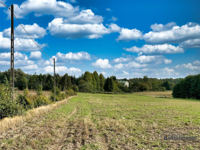 Duże działki budowlane - Nowy Chwalim gm Barwice - Nowy Chwalim  -
Zachodniopomorskie Zdjęcie nr 12