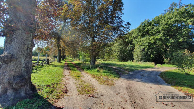 Starzyce - NA RATY - działka budowlana POD LASEM b - Starzyce  -
Zachodniopomorskie Zdjęcie nr 12