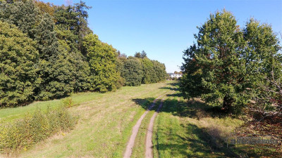 Starzyce - NA RATY - działka budowlana POD LASEM b - Starzyce  -
Zachodniopomorskie Zdjęcie nr 9