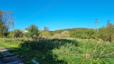 Pomianowo - działka budowlana blisko Białogardu -  - Pomianowo  -
Zachodniopomorskie Zdjęcie nr 10