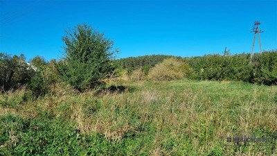 Pomianowo - działka budowlana blisko Białogardu -  - Pomianowo  -
Zachodniopomorskie Zdjęcie nr 11