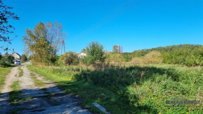 Pomianowo - działka budowlana blisko Białogardu -  - Pomianowo  -
Zachodniopomorskie Zdjęcie nr 9