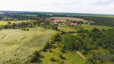 Bogusław - działka budowlana ma skraju wsi - na ra - Bogusław  -
Zachodniopomorskie Zdjęcie nr 13