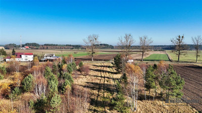 Świerczyna - działka budowlana - na raty - Świerczyna  -
Zachodniopomorskie Zdjęcie nr 6