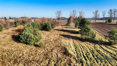 Świerczyna - działka budowlana - na raty - Świerczyna  -
Zachodniopomorskie Zdjęcie nr 7