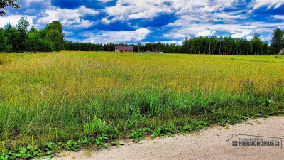Czyżkowo - działka budowlana około 70 km od Bydgos - Czyżkowo  -
Zachodniopomorskie Zdjęcie nr 13
