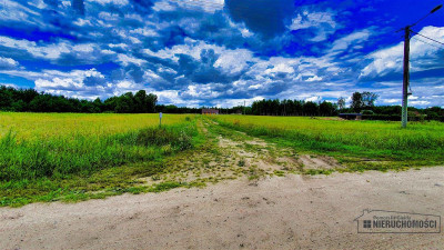 Czyżkowo - działka budowlana około 70 km od Bydgos - Czyżkowo  -
Zachodniopomorskie Zdjęcie nr 14