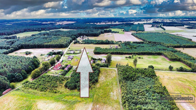 Czyżkowo - działka budowlana około 70 km od Bydgos - Czyżkowo  -
Zachodniopomorskie Zdjęcie nr 9
