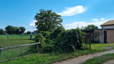 Piasek - działka budowlana - na raty - nad Odrą 70 - Piasek  -
Zachodniopomorskie Zdjęcie nr 11