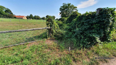 Piasek - działka budowlana - na raty - nad Odrą 70 - Piasek  -
Zachodniopomorskie Zdjęcie nr 12