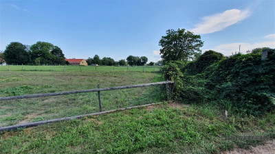 Piasek - działka budowlana - na raty - nad Odrą 70 - Piasek  -
Zachodniopomorskie Zdjęcie nr 13