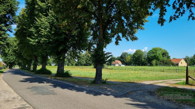 Piasek - działka budowlana - na raty - nad Odrą 70 - Piasek  -
Zachodniopomorskie Zdjęcie nr 7