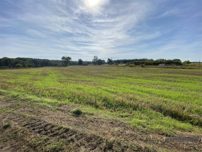 Wyszomierz - działka budowlana - na raty - 8 km od - Wyszomierz  -
Zachodniopomorskie Zdjęcie nr 11