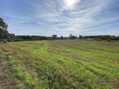 Wyszomierz - działka budowlana - na raty - 8 km od - Wyszomierz  -
Zachodniopomorskie Zdjęcie nr 13