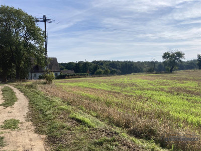 Wyszomierz - działka budowlana - na raty - 8 km od - Wyszomierz  -
Zachodniopomorskie Zdjęcie nr 14