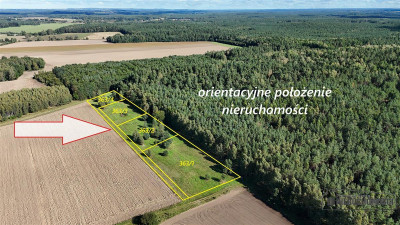 Dargikowo - działka pod lasem - 45 km od morza - n - Dargikowo  -
Zachodniopomorskie Zdjęcie nr 2