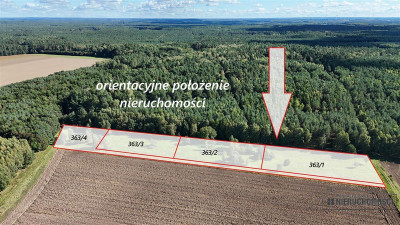 Dargikowo - działka pod lasem - 45 km od morza - n - Dargikowo  -
Zachodniopomorskie Zdjęcie nr 3