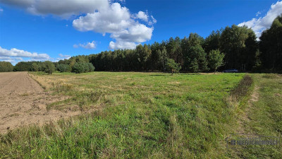 Dargikowo - działka pod lasem - 45 km od morza - n - Dargikowo  -
Zachodniopomorskie Zdjęcie nr 8