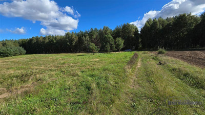 Dargikowo - działka pod lasem - 45 km od morza - n - Dargikowo  -
Zachodniopomorskie Zdjęcie nr 9