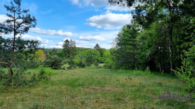 Duża działka w otoczeniu lasu Drężno - Drężno  -
Zachodniopomorskie Zdjęcie nr 13