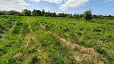 Gosław - NA RATY - 21 km od Kołobrzegu - Gosław  -
Zachodniopomorskie Zdjęcie nr 13