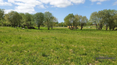 Gosław - NA RATY - 21 km od Kołobrzegu - Gosław  -
Zachodniopomorskie Zdjęcie nr 9