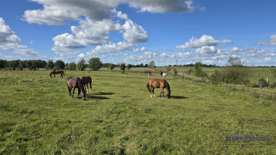 Dargikowo - działka budowlana na raty blisko morza - Dargikowo  -
Zachodniopomorskie Zdjęcie nr 14