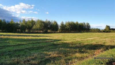 Dargikowo - działka budowlanea 45 km od morza - na - Dargikowo  -
Zachodniopomorskie Zdjęcie nr 12