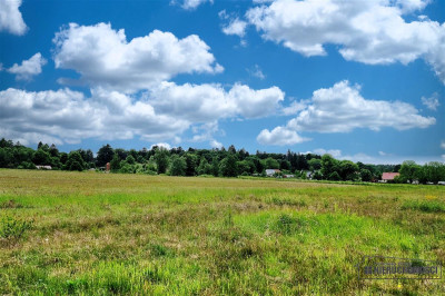 750 zł miesięcznie - kup na raty bez banku - Krytno  -
Zachodniopomorskie Zdjęcie nr 10