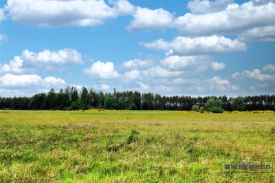 750 zł miesięcznie - kup na raty bez banku - Krytno  -
Zachodniopomorskie Zdjęcie nr 12