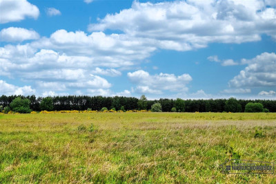 750 zł miesięcznie - kup na raty bez banku - Krytno  -
Zachodniopomorskie Zdjęcie nr 13