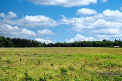 750 zł miesięcznie - kup na raty bez banku - Krytno  -
Zachodniopomorskie Zdjęcie nr 9